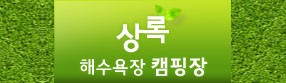 상록해수욕장 캠핑장 홈페이지제작