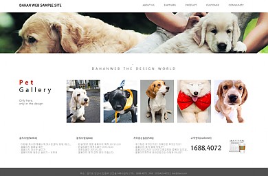 펫샵/포토/2013-03-18